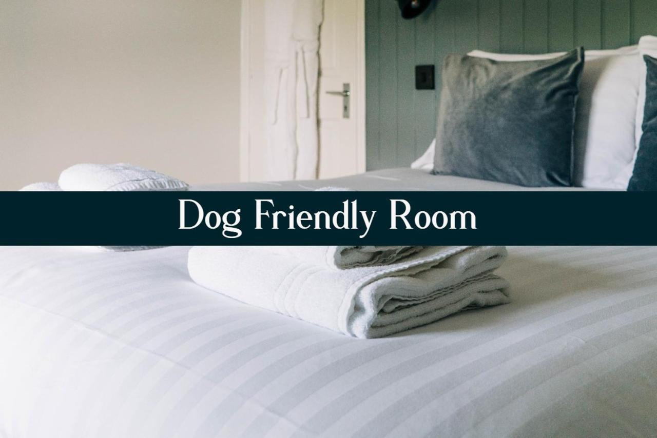 Penbryn Bryn Berwyn Country House Tresaith الغرفة الصورة